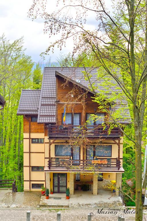 Pension Master Sinaia Exterior foto
